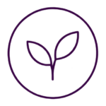 Burnaby Counselling Acceptance and Commitment Therapy (ACT)