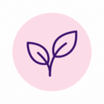 Walk and Talk Queer ADHD Counselling Burnaby Nature
